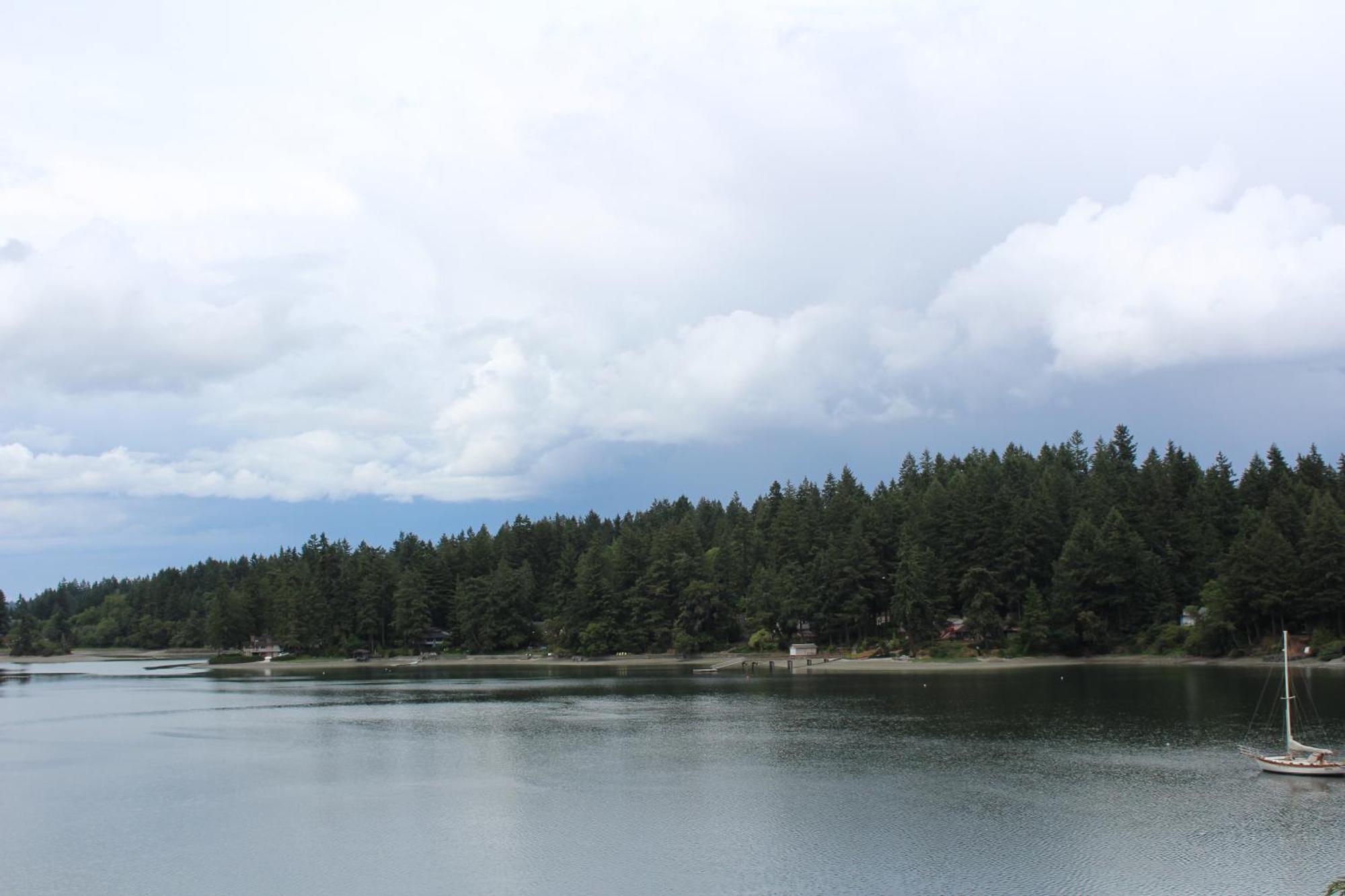 Oyster Bay Inn & Suites Bremerton Rum bild